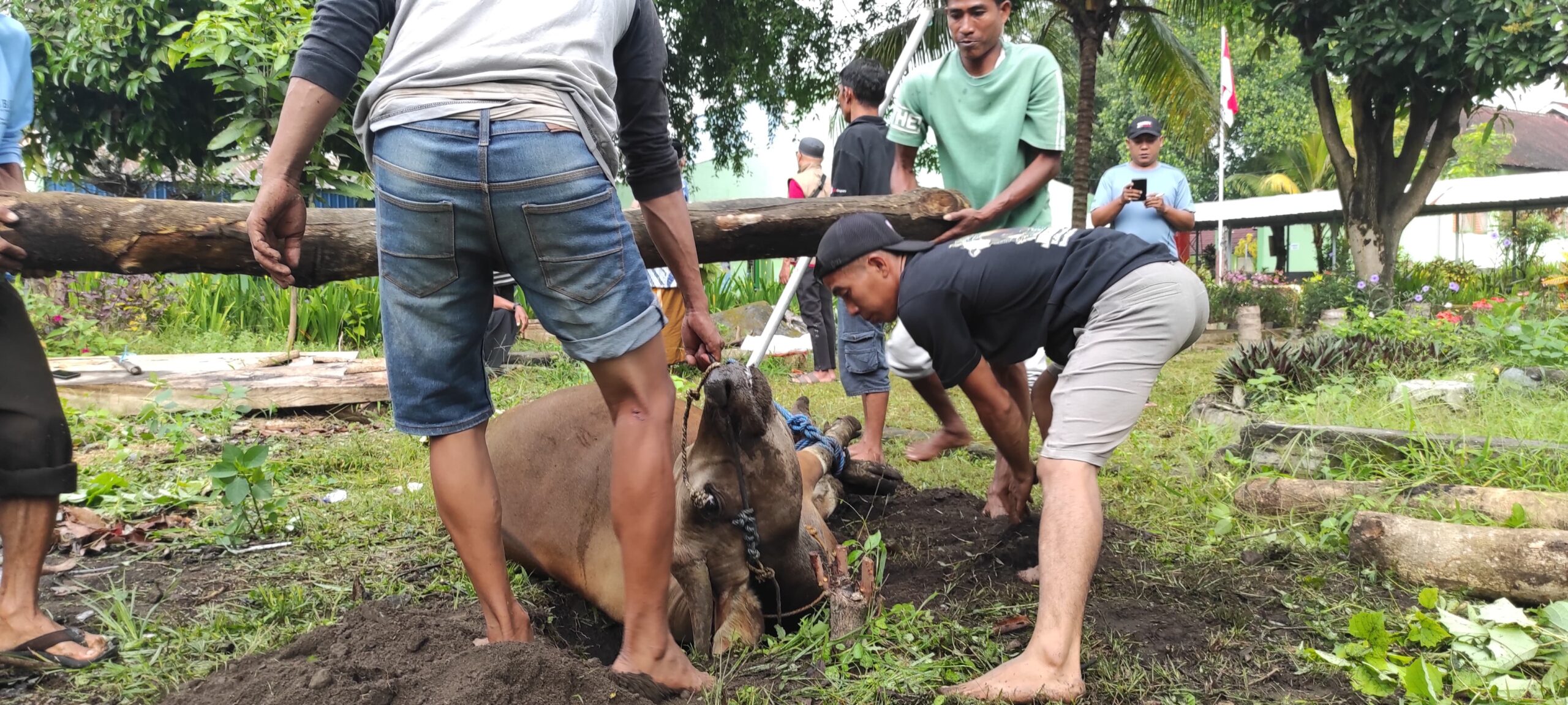 SMP Negeri 1 Aikmel Gelar Kurban di Sekolah
